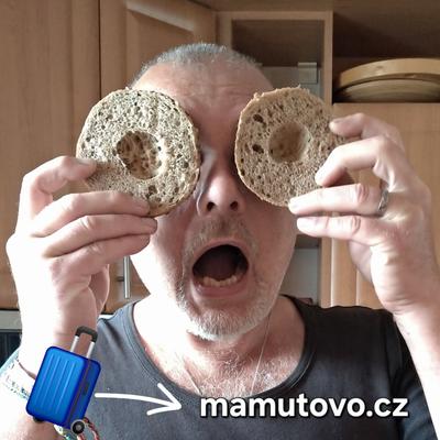 𝕆𝕥𝕥𝕠 𝕧𝕠𝕟 𝕎𝕖𝕟𝕜𝕠𝕗𝕗 🐾🐐🐇🐔 profile picture