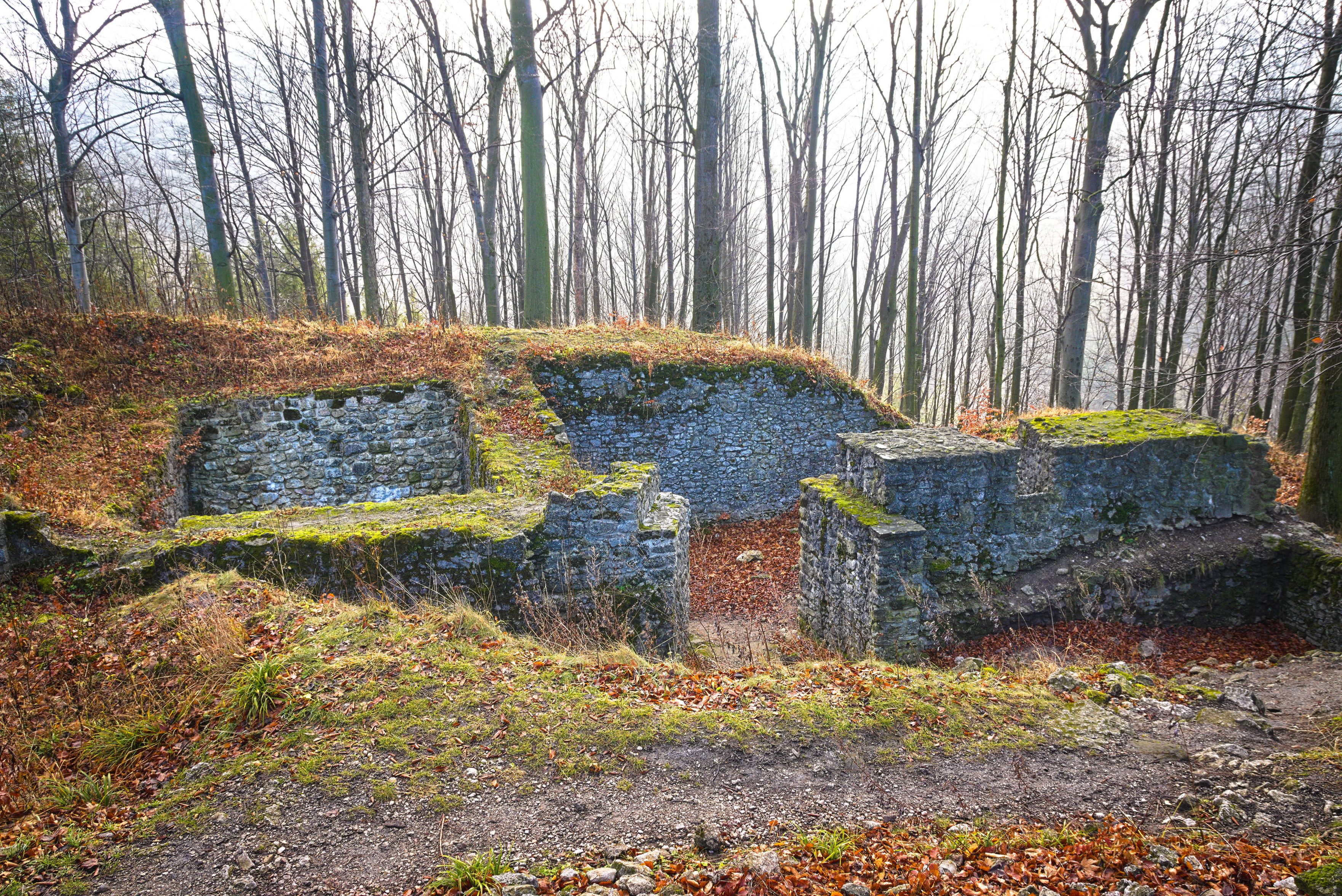 Pozůstatky zdí hradu Šostýn