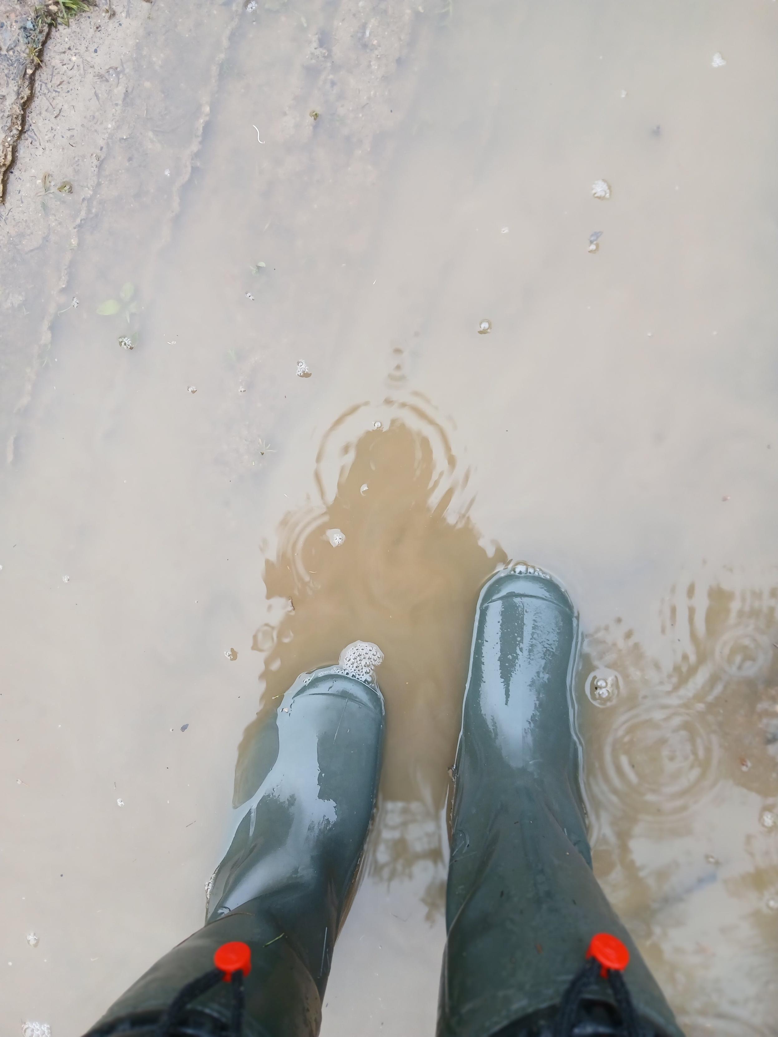 Posted media